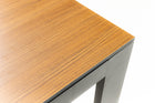 HAMILTON Outdoor Dining Table (Wood-look)
